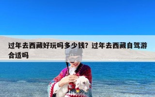 过年去西藏好玩吗多少钱？过年去西藏自驾游合适吗