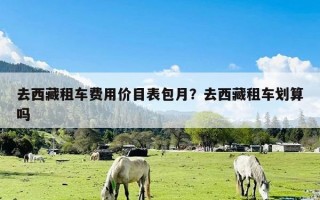 去西藏租车费用价目表包月？去西藏租车划算吗