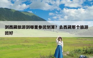 到西藏旅游到哪里参团划算？去西藏那个旅游团好