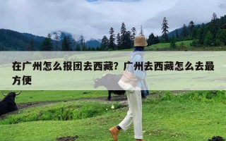 在广州怎么报团去西藏？广州去西藏怎么去最方便