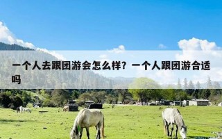 一个人去跟团游会怎么样？一个人跟团游合适吗