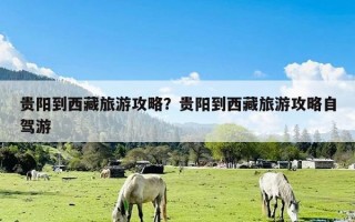 贵阳到西藏旅游攻略？贵阳到西藏旅游攻略自驾游