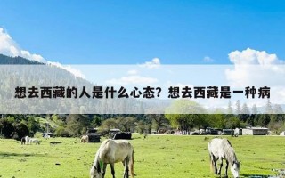 想去西藏的人是什么心态？想去西藏是一种病