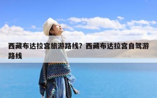 西藏布达拉宫旅游路线？西藏布达拉宫自驾游路线