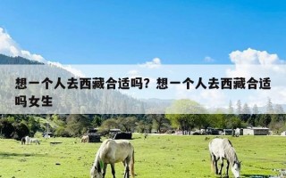 想一个人去西藏合适吗？想一个人去西藏合适吗女生