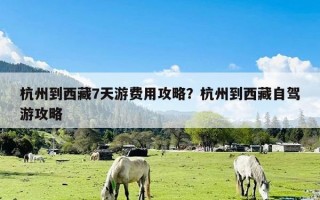 杭州到西藏7天游费用攻略？杭州到西藏自驾游攻略