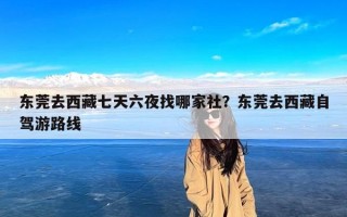 东莞去西藏七天六夜找哪家社？东莞去西藏自驾游路线