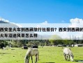 西安坐火车到西藏旅行社报价？西安到西藏的火车沿途风景怎么样