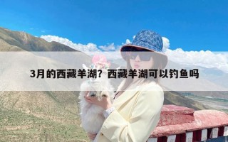 3月的西藏羊湖？西藏羊湖可以钓鱼吗