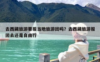 去西藏旅游要报当地旅游团吗？去西藏旅游报团去还是自由行