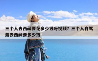 三个人去西藏要花多少钱呀视频？三个人自驾游去西藏要多少钱