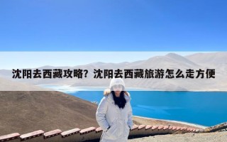 沈阳去西藏攻略？沈阳去西藏旅游怎么走方便