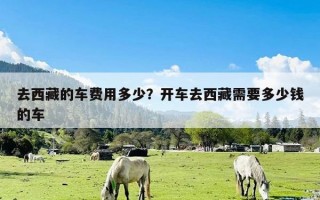 去西藏的车费用多少？开车去西藏需要多少钱的车