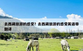 去西藏旅游的感受？去西藏旅游的感受英语带翻译