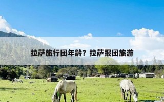 拉萨旅行团年龄？拉萨报团旅游