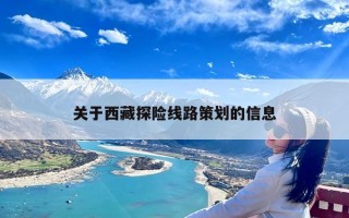 关于西藏探险线路策划的信息