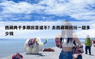 西藏两千多跟团靠谱不？去西藏跟团玩一趟多少钱