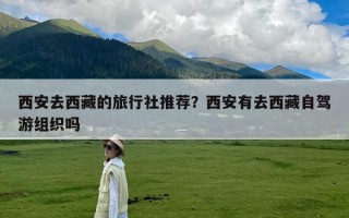西安去西藏的旅行社推荐？西安有去西藏自驾游组织吗