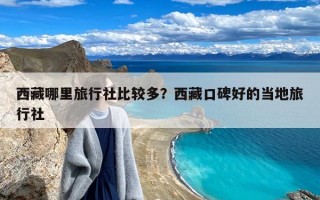 西藏哪里旅行社比较多？西藏口碑好的当地旅行社