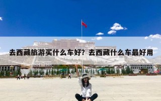去西藏旅游买什么车好？去西藏什么车最好用