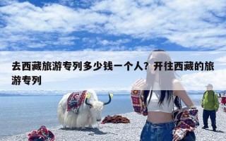 去西藏旅游专列多少钱一个人？开往西藏的旅游专列
