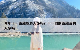 今年十一西藏旅游人多吗？十一假期西藏游的人多吗