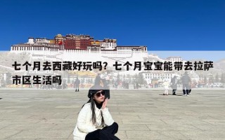 七个月去西藏好玩吗？七个月宝宝能带去拉萨市区生活吗