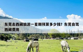 东莞去西藏旅游一星期预算多少钱？东莞自驾西藏费用