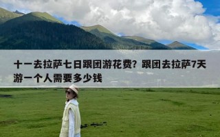 十一去拉萨七日跟团游花费？跟团去拉萨7天游一个人需要多少钱