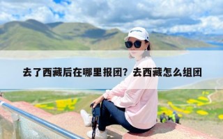 去了西藏后在哪里报团？去西藏怎么组团