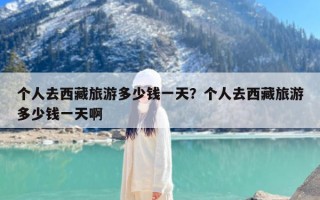 个人去西藏旅游多少钱一天？个人去西藏旅游多少钱一天啊
