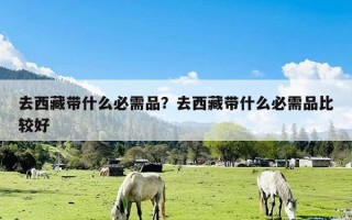 去西藏带什么必需品？去西藏带什么必需品比较好