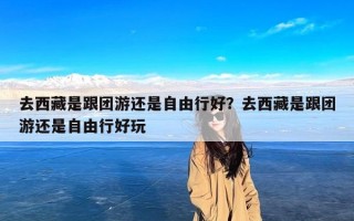 去西藏是跟团游还是自由行好？去西藏是跟团游还是自由行好玩