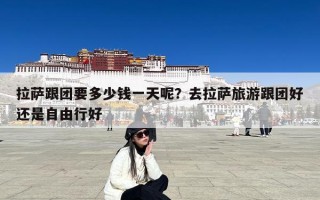 拉萨跟团要多少钱一天呢？去拉萨旅游跟团好还是自由行好