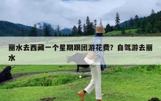 丽水去西藏一个星期跟团游花费？自驾游去丽水
