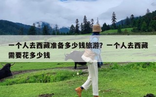 一个人去西藏准备多少钱旅游？一个人去西藏需要花多少钱