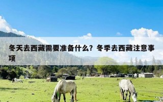 冬天去西藏需要准备什么？冬季去西藏注意事项