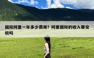 国际阿里一年多少费用？阿里国际的收入要交税吗