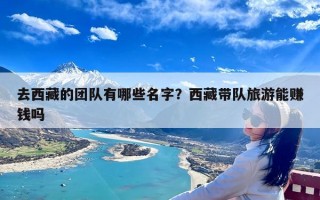 去西藏的团队有哪些名字？西藏带队旅游能赚钱吗
