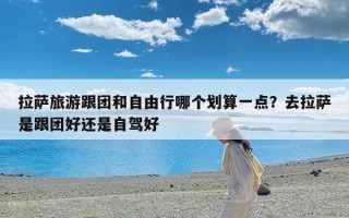 拉萨旅游跟团和自由行哪个划算一点？去拉萨是跟团好还是自驾好