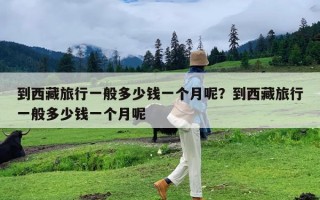到西藏旅行一般多少钱一个月呢？到西藏旅行一般多少钱一个月呢