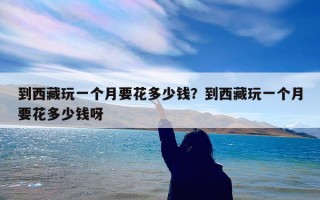 到西藏玩一个月要花多少钱？到西藏玩一个月要花多少钱呀