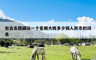 包含去西藏玩一个星期大概多少钱人民币的词条