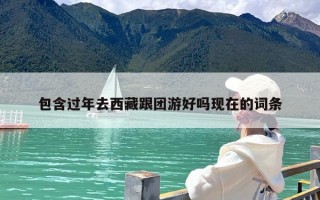 包含过年去西藏跟团游好吗现在的词条