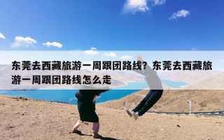 东莞去西藏旅游一周跟团路线？东莞去西藏旅游一周跟团路线怎么走
