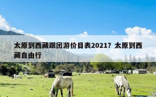 太原到西藏跟团游价目表2021？太原到西藏自由行