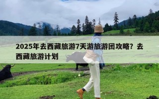 2025年去西藏旅游7天游旅游团攻略？去西藏旅游计划