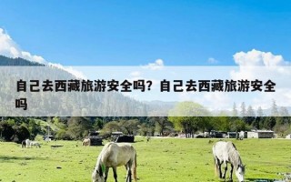 自己去西藏旅游安全吗？自己去西藏旅游安全吗