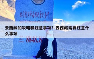 去西藏的攻略和注意事项？去西藏需要注意什么事项