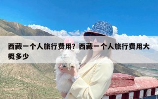 西藏一个人旅行费用？西藏一个人旅行费用大概多少